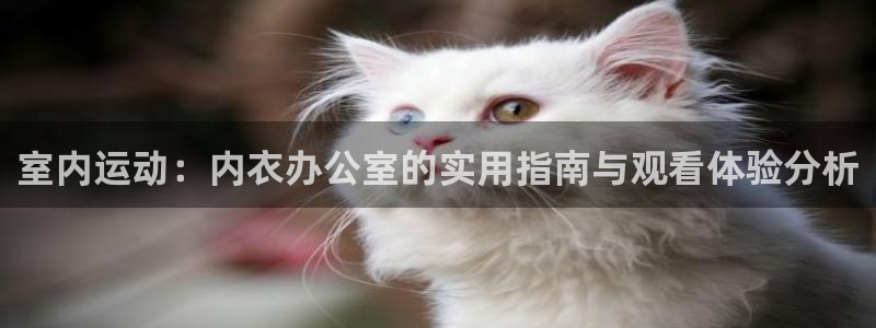 动漫共和国官网入口：室内运动：内衣办公室的实用指南与观看体验分析